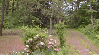 長野県菅平高原 ゆたか山荘 坂上 2026/06/07 12:30