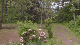 長野県菅平高原 ゆたか山荘 坂上 2026/06/07 12:45