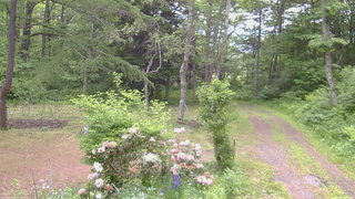 長野県菅平高原 ゆたか山荘 坂上 2026/06/07 13:00