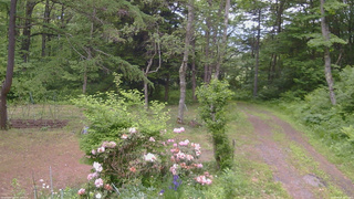 長野県菅平高原 ゆたか山荘 坂上 2026/06/07 13:15