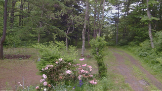 長野県菅平高原 ゆたか山荘 坂上 2026/06/07 13:30