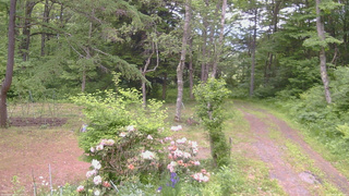 長野県菅平高原 ゆたか山荘 坂上 2026/06/07 13:45