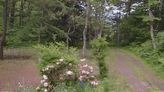 長野県菅平高原 ゆたか山荘 坂上 2026/06/07 14:00