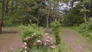 長野県菅平高原 ゆたか山荘 坂上 2026/06/07 14:45