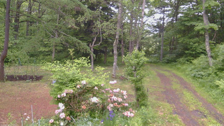 長野県菅平高原 ゆたか山荘 坂上 2026/06/07 17:00