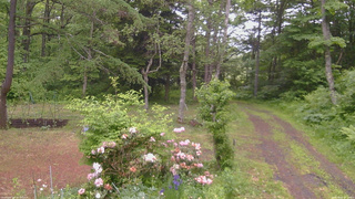 長野県菅平高原 ゆたか山荘 坂上 2026/06/07 17:15