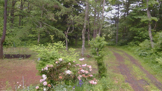 長野県菅平高原 ゆたか山荘 坂上 2026/06/07 17:30