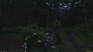 長野県菅平高原 ゆたか山荘 坂上 2026/06/07 19:15