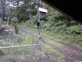 長野県菅平高原 ゆたか山荘 南側 2026/06/08 05:15