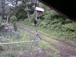 長野県菅平高原 ゆたか山荘 南側 2026/06/08 05:30