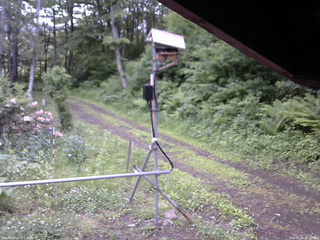 長野県菅平高原 ゆたか山荘 南側 2026/06/08 06:00