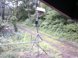 長野県菅平高原 ゆたか山荘 南側 2026/06/08 06:45