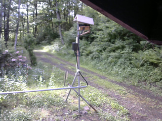 長野県菅平高原 ゆたか山荘 南側 2026/06/08 07:00