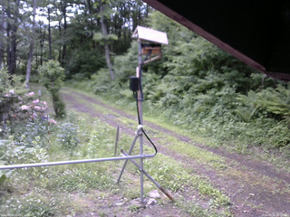 長野県菅平高原 ゆたか山荘 南側 2026/06/08 08:00