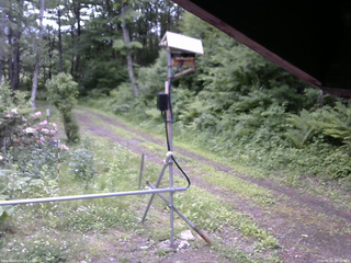 長野県菅平高原 ゆたか山荘 南側 2026/06/08 09:00