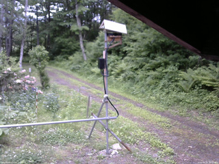 長野県菅平高原 ゆたか山荘 南側 2026/06/08 10:45