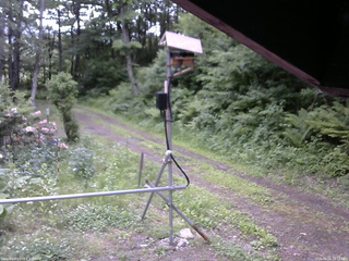 長野県菅平高原 ゆたか山荘 南側 2026/06/08 15:15