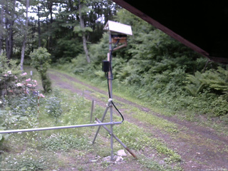 長野県菅平高原 ゆたか山荘 南側 2026/06/08 15:30