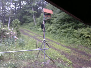 長野県菅平高原 ゆたか山荘 南側 2026/06/08 16:45