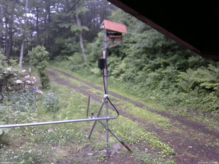 長野県菅平高原 ゆたか山荘 南側 2026/06/08 17:15