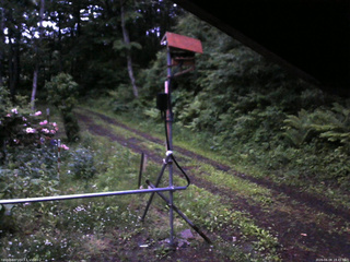 長野県菅平高原 ゆたか山荘 南側 2026/06/08 18:45