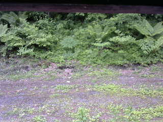 長野県菅平高原 ゆたか山荘 東側(坂下) 2026/06/08 14:00