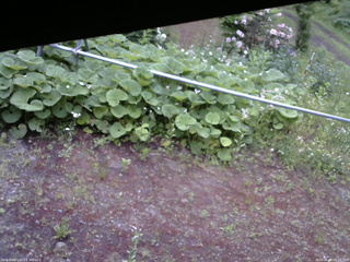 長野県菅平高原 ゆたか山荘 駐車場 2026/06/08 05:15