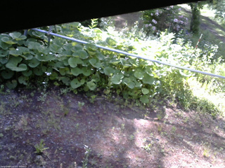 長野県菅平高原 ゆたか山荘 駐車場 2026/06/08 07:15