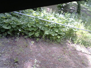長野県菅平高原 ゆたか山荘 駐車場 2026/06/08 07:30
