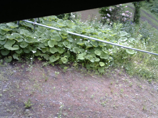 長野県菅平高原 ゆたか山荘 駐車場 2026/06/08 07:45