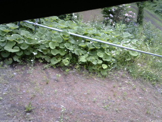 長野県菅平高原 ゆたか山荘 駐車場 2026/06/08 08:15