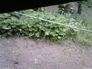 長野県菅平高原 ゆたか山荘 駐車場 2026/06/08 08:30
