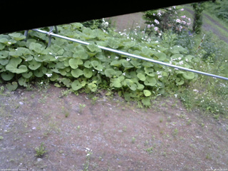 長野県菅平高原 ゆたか山荘 駐車場 2026/06/08 09:30