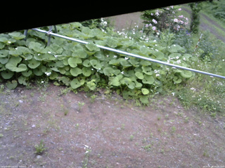 長野県菅平高原 ゆたか山荘 駐車場 2026/06/08 09:45
