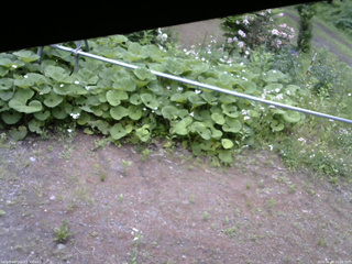 長野県菅平高原 ゆたか山荘 駐車場 2026/06/08 10:00