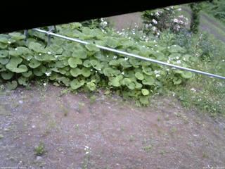 長野県菅平高原 ゆたか山荘 駐車場 2026/06/08 11:00