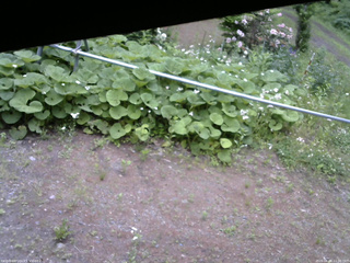 長野県菅平高原 ゆたか山荘 駐車場 2026/06/08 11:30
