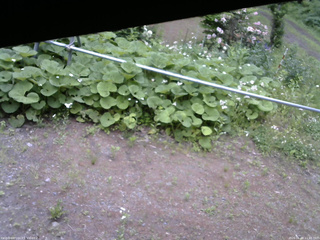 長野県菅平高原 ゆたか山荘 駐車場 2026/06/08 11:45