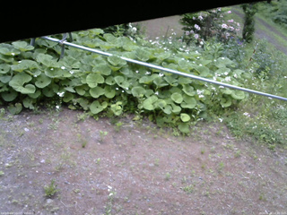 長野県菅平高原 ゆたか山荘 駐車場 2026/06/08 13:45