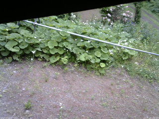 長野県菅平高原 ゆたか山荘 駐車場 2026/06/08 14:00