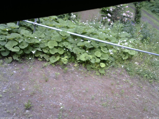 長野県菅平高原 ゆたか山荘 駐車場 2026/06/08 14:30