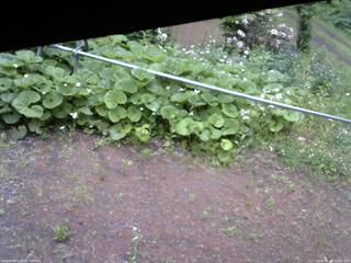 長野県菅平高原 ゆたか山荘 駐車場 2026/06/08 16:00