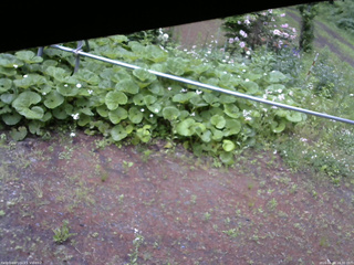 長野県菅平高原 ゆたか山荘 駐車場 2026/06/08 16:30