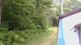 長野県菅平高原 ゆたか山荘 ゆたか山荘 2026/06/08 07:45