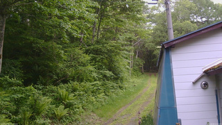 長野県菅平高原 ゆたか山荘 ゆたか山荘 2026/06/08 10:15