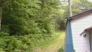 長野県菅平高原 ゆたか山荘 ゆたか山荘 2026/06/08 12:30