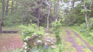 長野県菅平高原 ゆたか山荘 坂上 2026/06/08 06:00