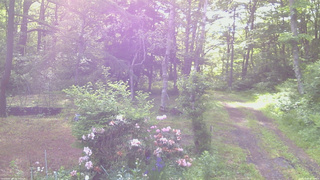 長野県菅平高原 ゆたか山荘 坂上 2026/06/08 07:00