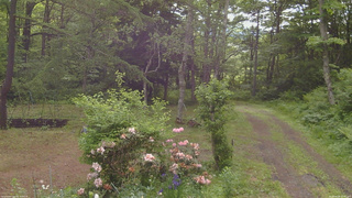 長野県菅平高原 ゆたか山荘 坂上 2026/06/08 07:45
