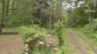 長野県菅平高原 ゆたか山荘 坂上 2026/06/08 08:00